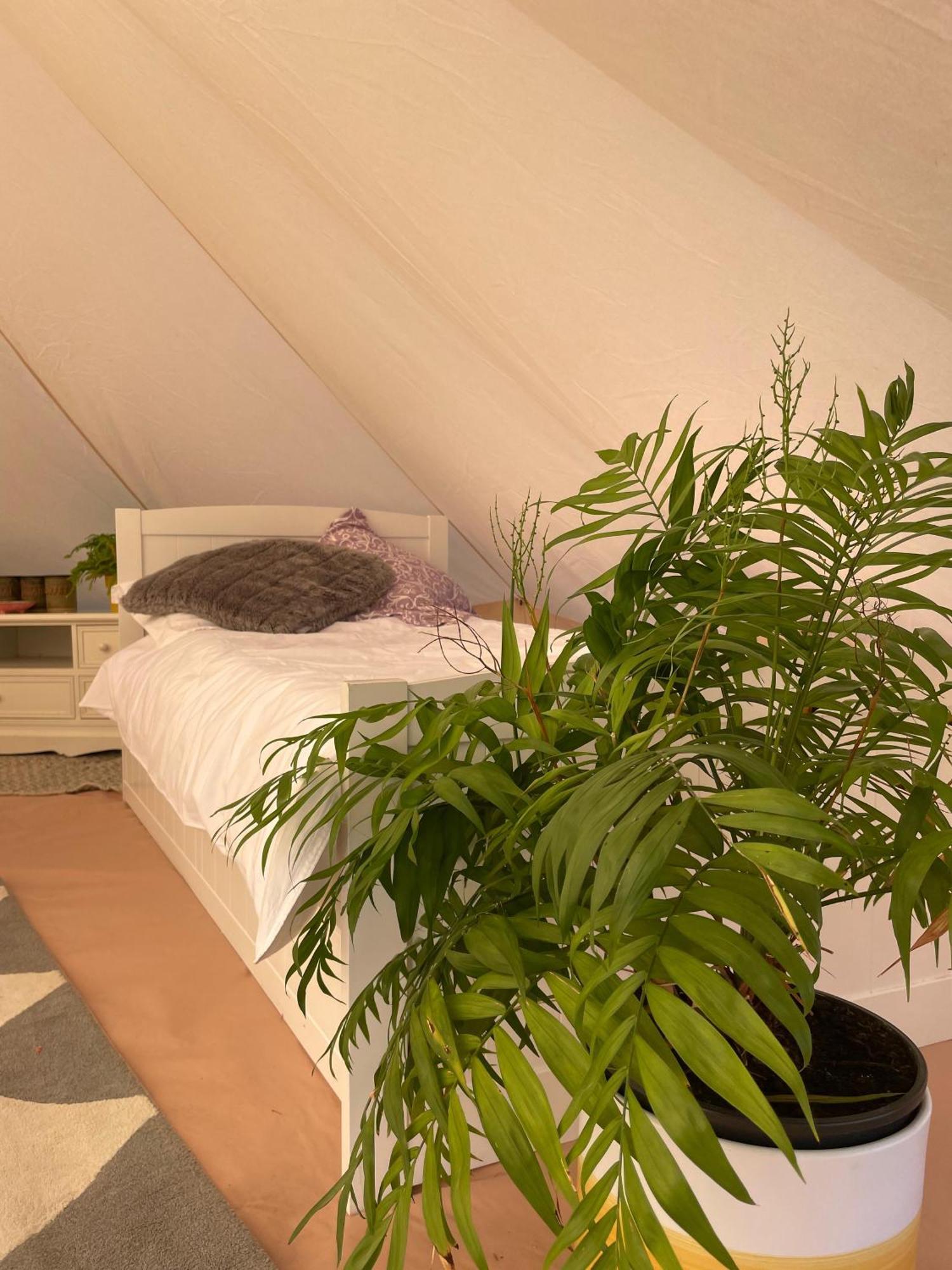 Trevena Cross Glamping & Camping Helston Exteriör bild