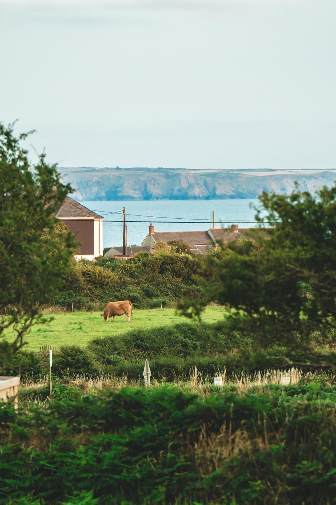 Trevena Cross Glamping & Camping Helston Exteriör bild