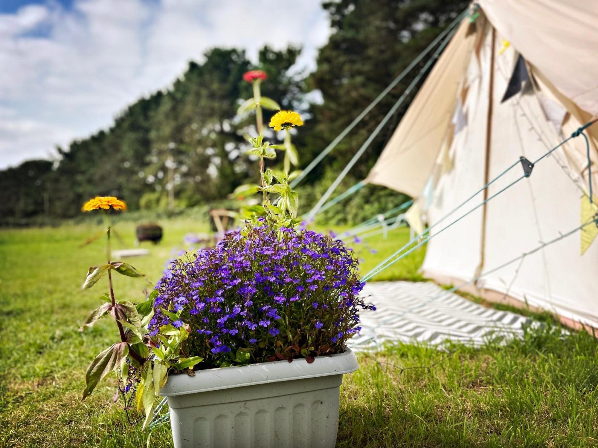 Trevena Cross Glamping & Camping Helston Exteriör bild