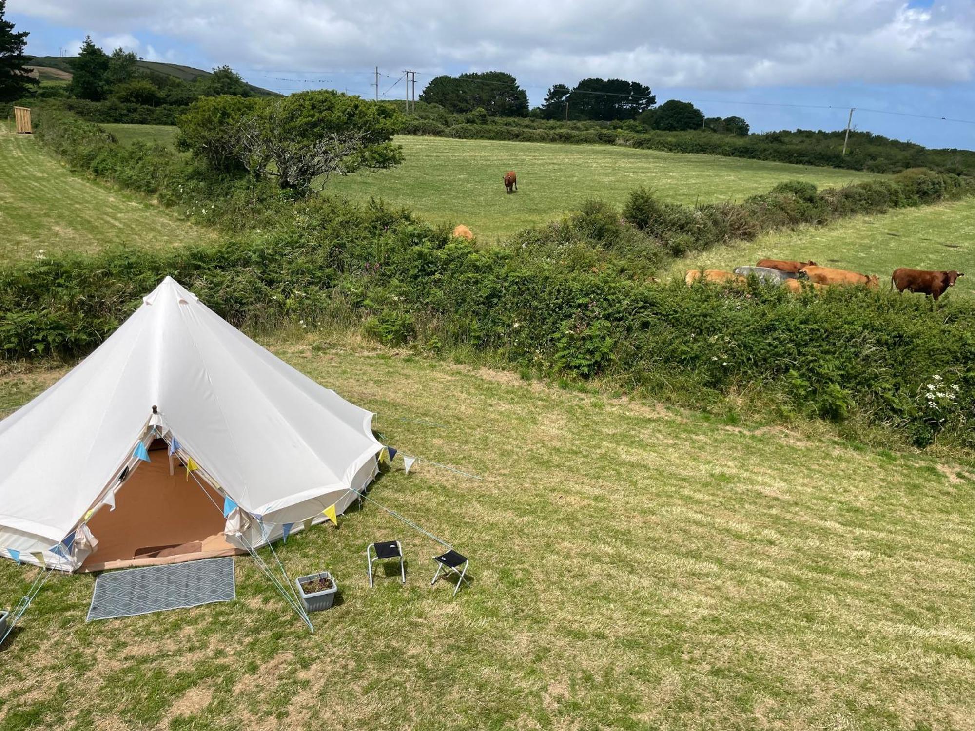 Trevena Cross Glamping & Camping Helston Exteriör bild